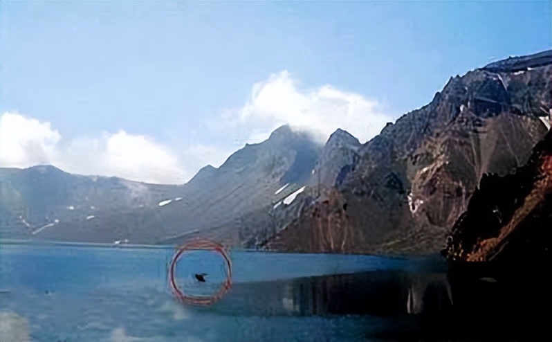 万尾鱼苗离奇失踪,鱼苗死亡鱼苗老板有责任吗