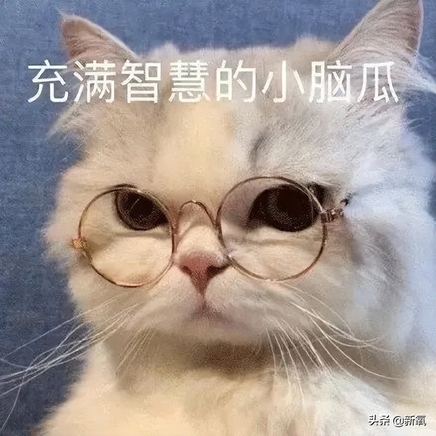 富豪千金妮可拉,富家千金妮可拉