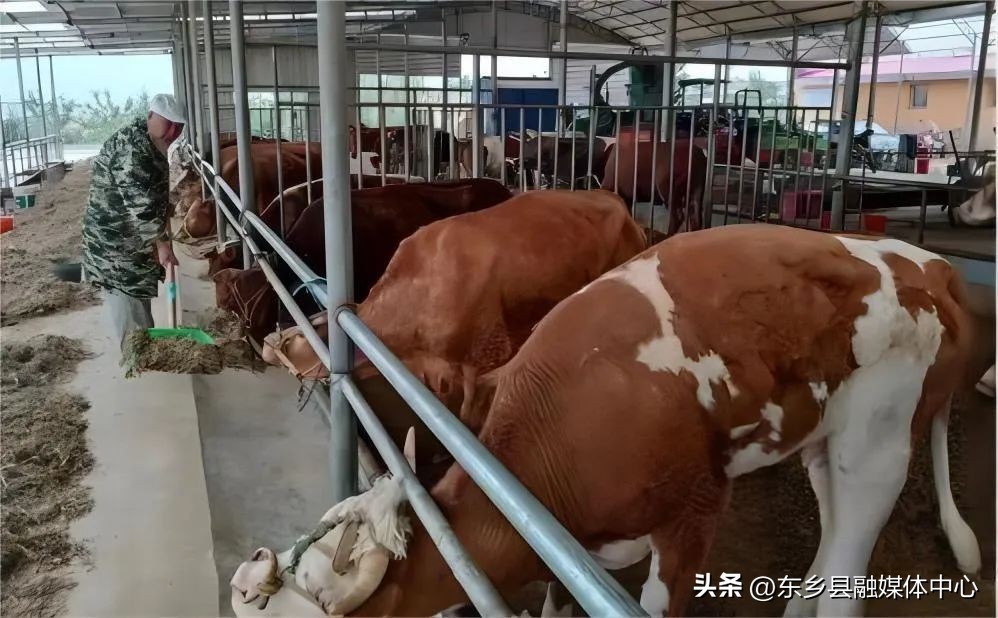 龙泉镇：平凡岗位二三事振兴路上显身手