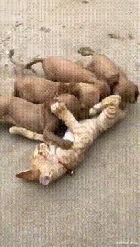 这么多年一直不明白，这键盘到底有什么用？