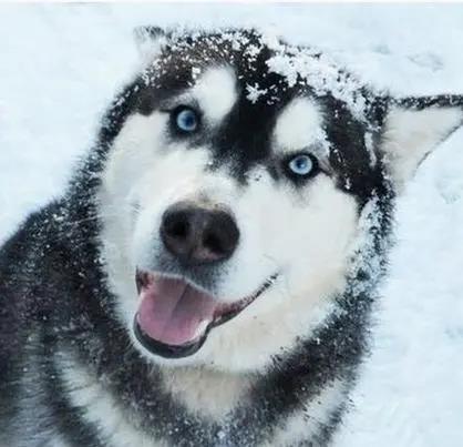 军旅笑话大全,军营笑话10则