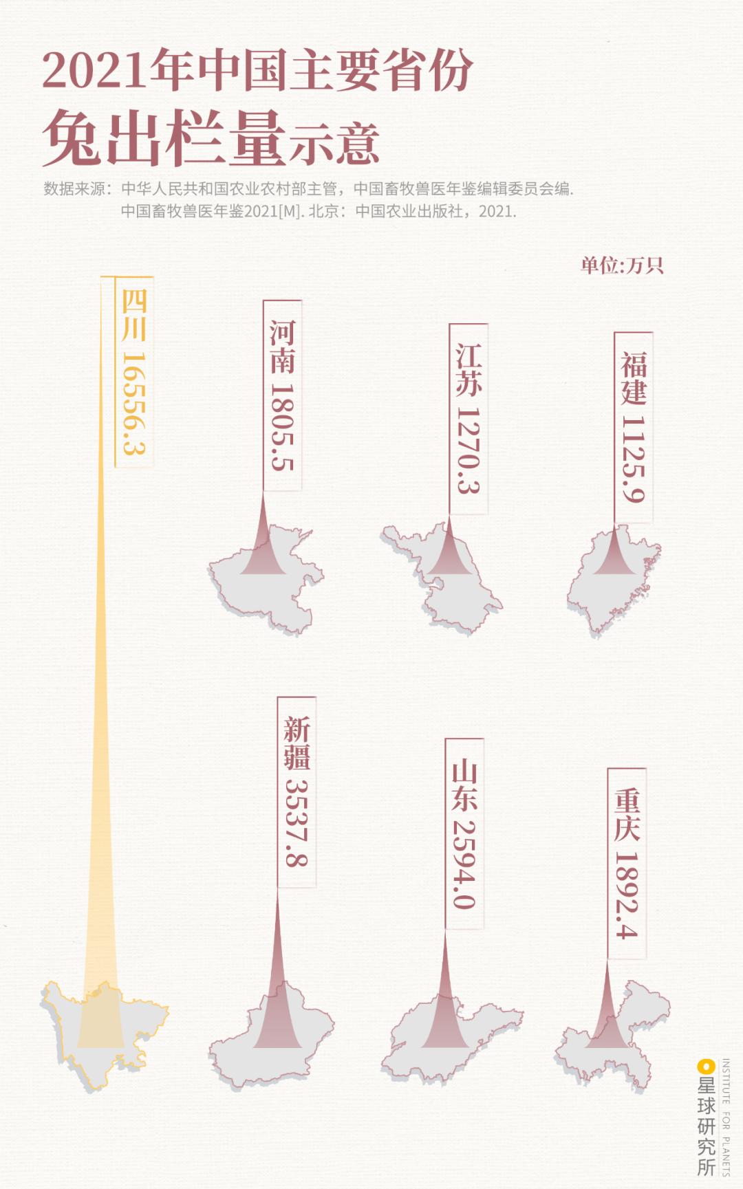 兔年来了,兔年来了怎么样