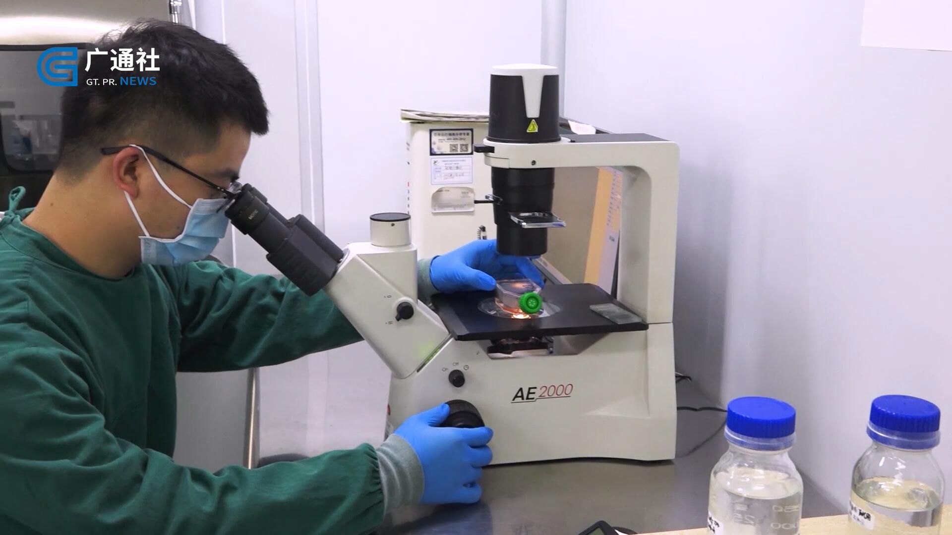 广东新焦点2024,广州新焦点新闻