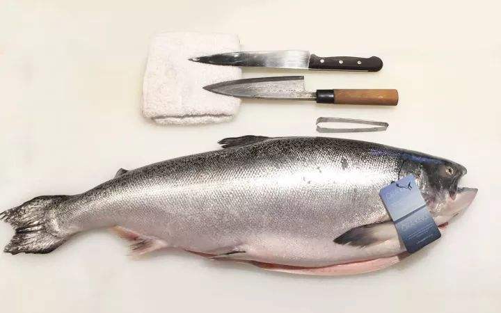 警惕日本进口的食品,警惕进口水产品