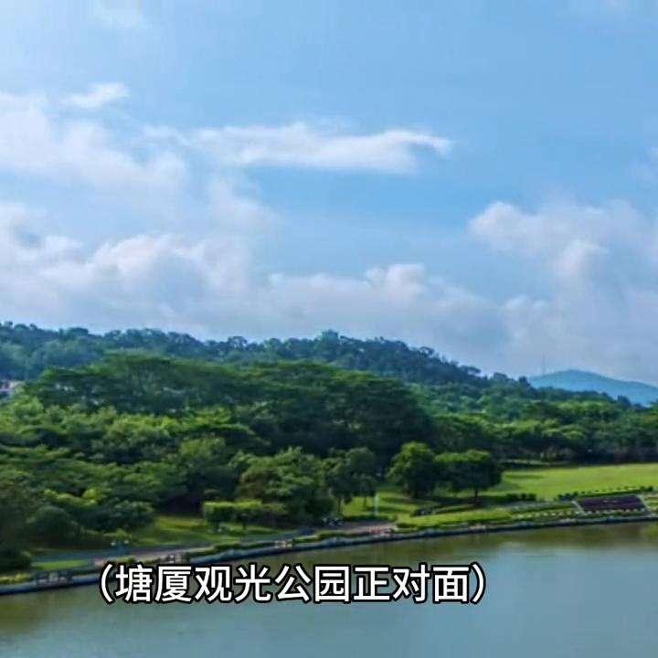 东莞正规培训机构报价,东莞最好的培训机构