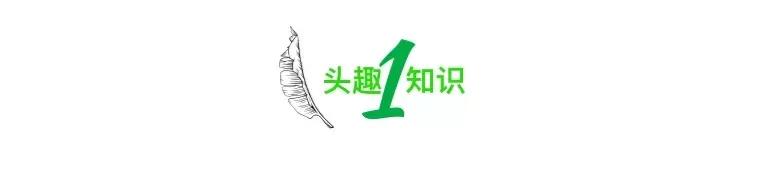 女子哭诉不该买房,女子哭诉男友不为其花钱