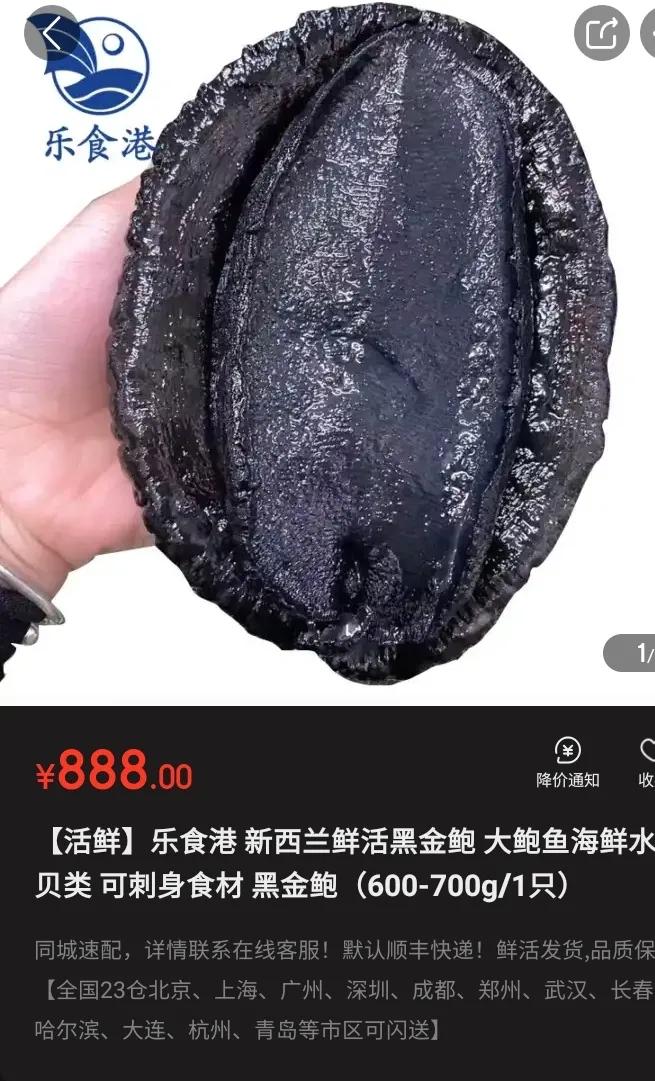 游客海边捡到一只鲍鱼被要500元,天价鲍鱼500一只