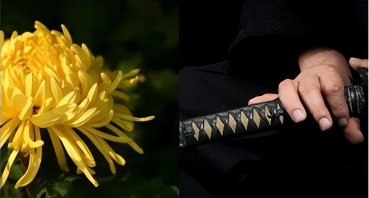 细嗅菊花，手拿武士刀向死而生的国度——日本