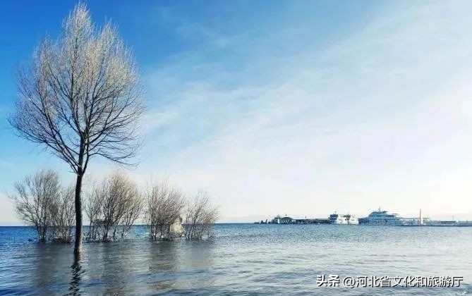 十大避暑胜地揭榜,十个最佳避暑胜地排名榜