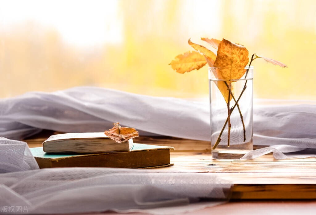 三联书店十本好书2020年,2021三联书店推荐书单