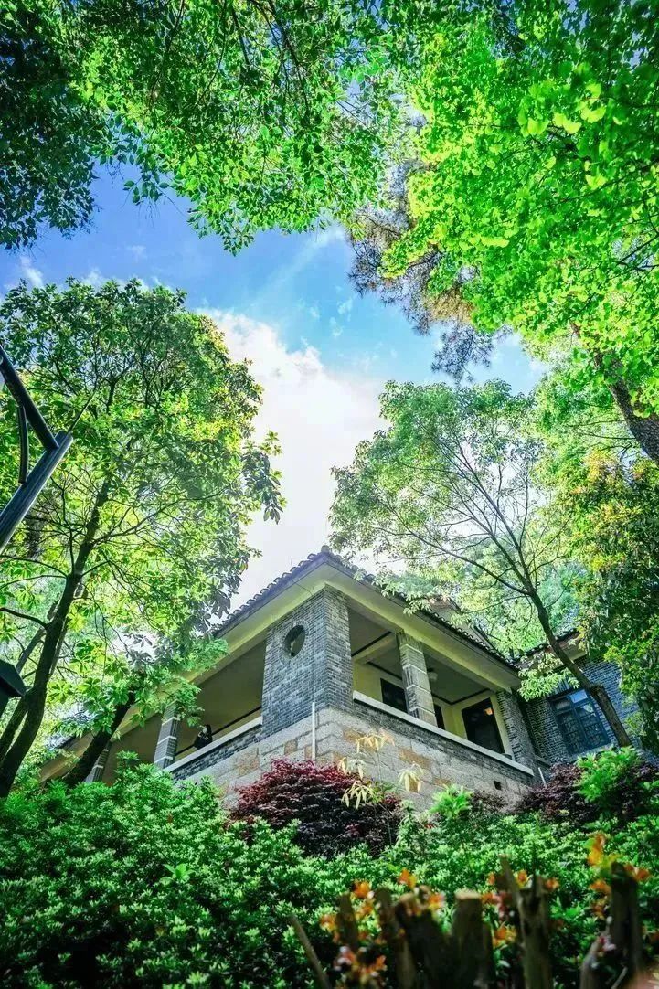 看重庆，来南岸|不看南岸这些地方，就不算到过重庆