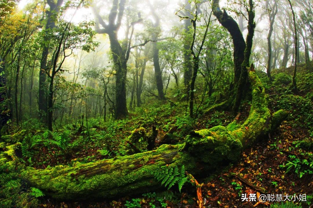 昆明旁边的小城，有山有湖好舒服