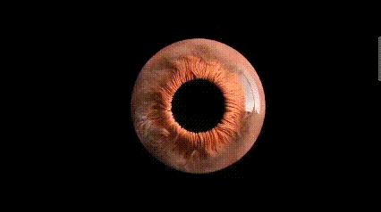 运动神经元显微镜观察内容与结果,显微镜下观察神经元的判断依据