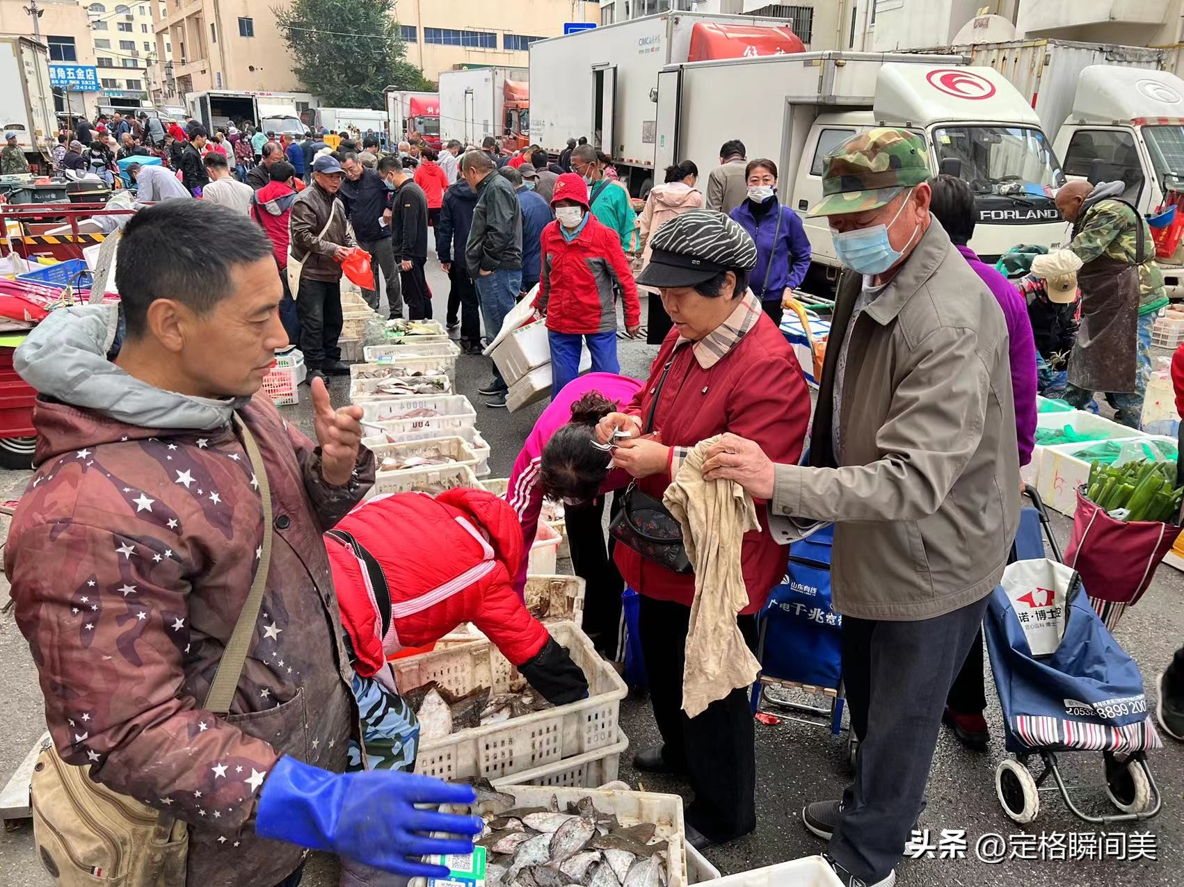 青岛鲳鱼价格,青岛今天鲳鱼价格最新行情