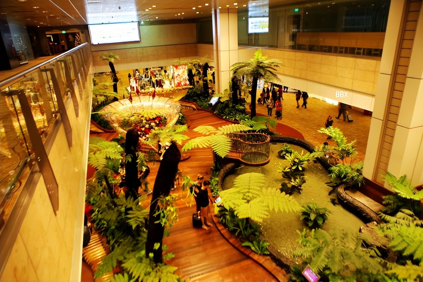 新加坡樟宜机场的仙人掌花园,新加坡最美机场在哪个航站楼