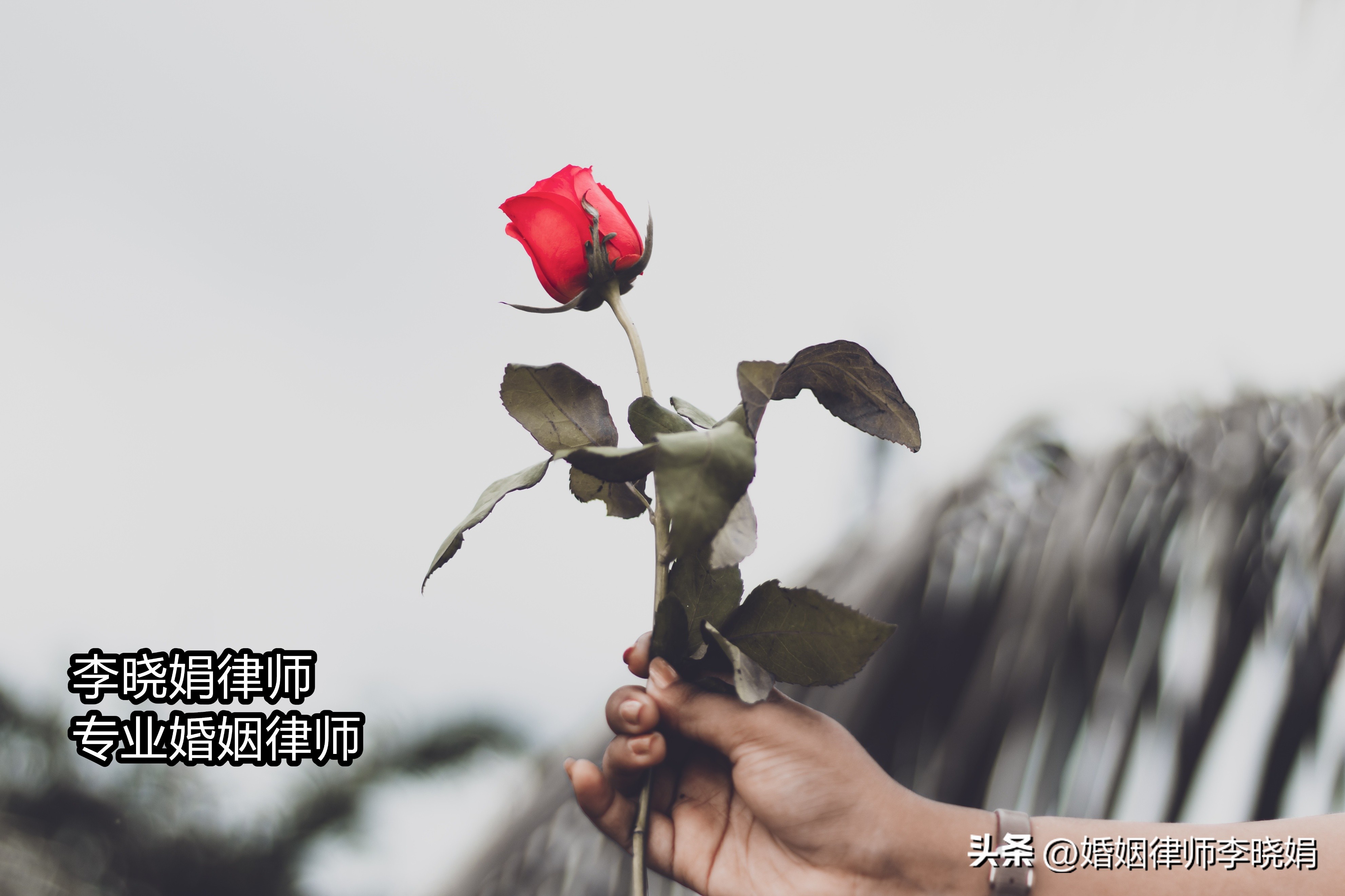 杭州离婚律师最出名,离婚律师要离婚