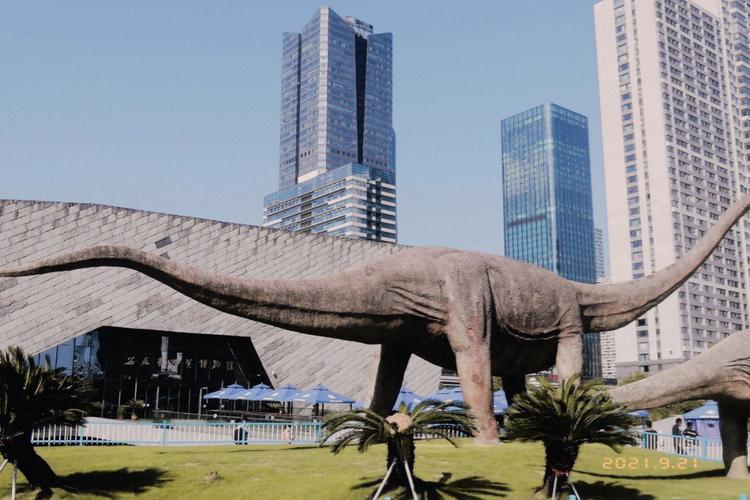 安徽省合肥市旅游景点路径图,合肥市好玩的旅游景点