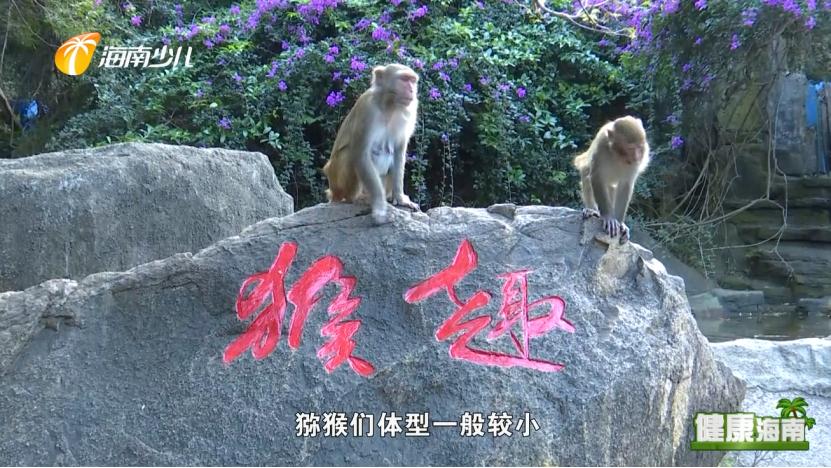 健康海南｜医疗护理师话说快乐健康去旅行！