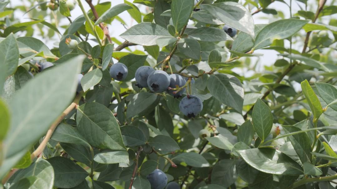 争分夺秒搞技改齐心协力保生产,争分夺秒拼经济全力以赴冲千亿