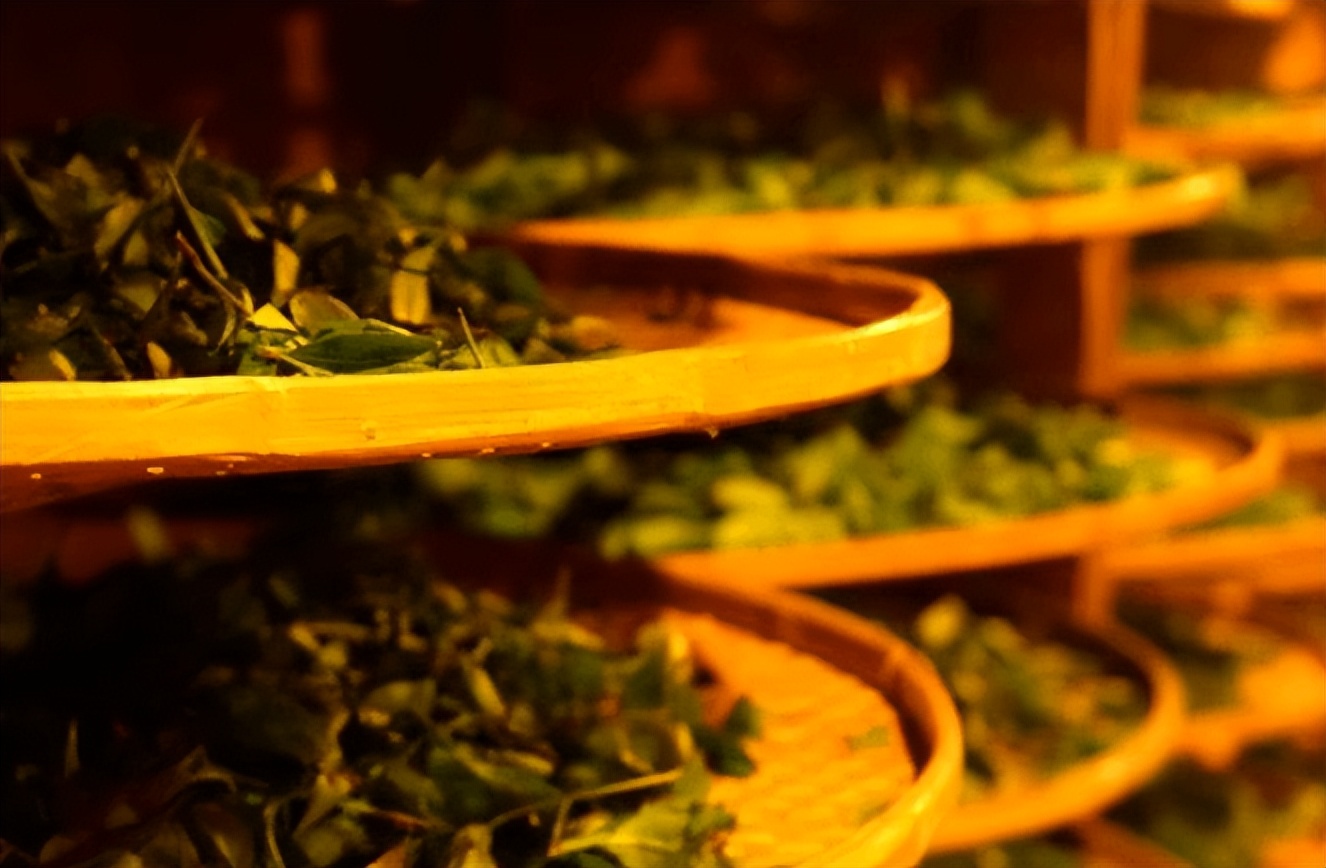 茶知识丨茶梗多的茶到底好不好？你会把茶梗拣出来扔掉吗？