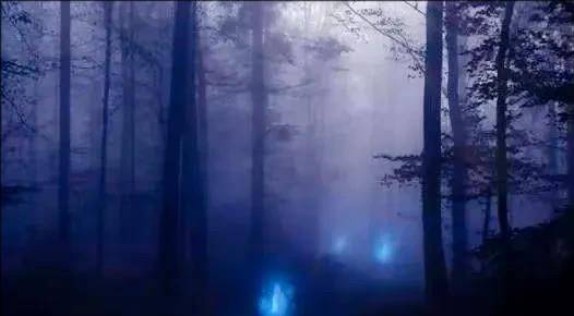 鬼火科学解释,鬼火的真实现象