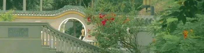 自媒体写作怎么赚到钱,写作自媒体平台