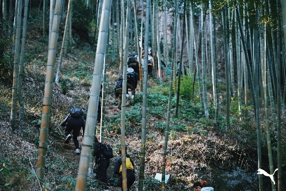 puma鎴峰浼戦棽,puma涓婃捣娲诲姩