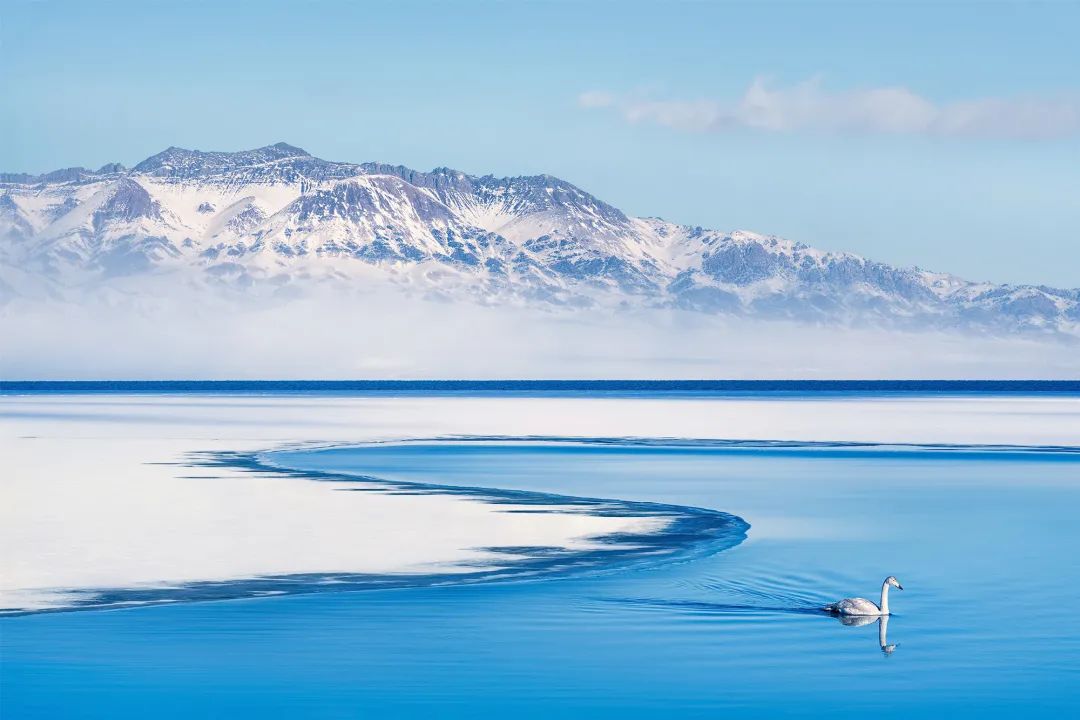 四月新疆伊犁草原,新疆伊犁野杏花最美人间四月天