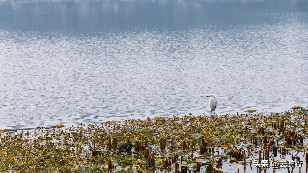 成都市十大城市公园,成都这座让大家留恋往返的城市