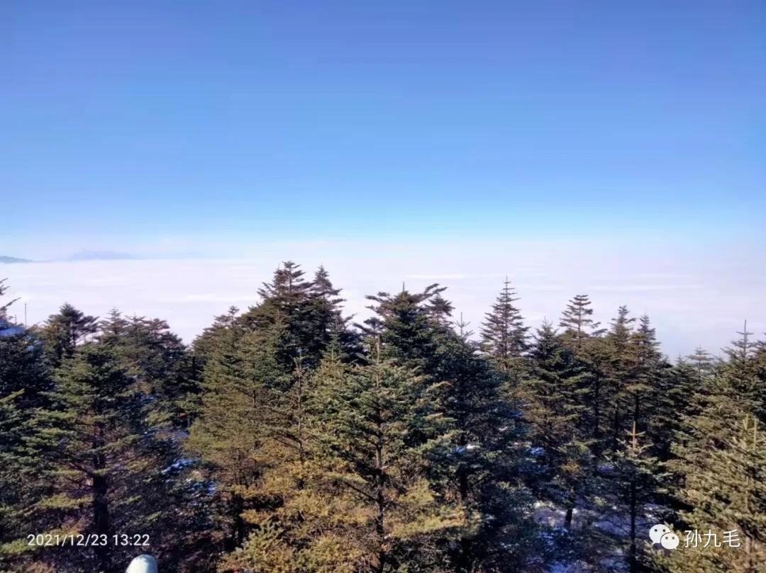 廉价旅行团的真实感受,不购物的廉价旅游团内幕