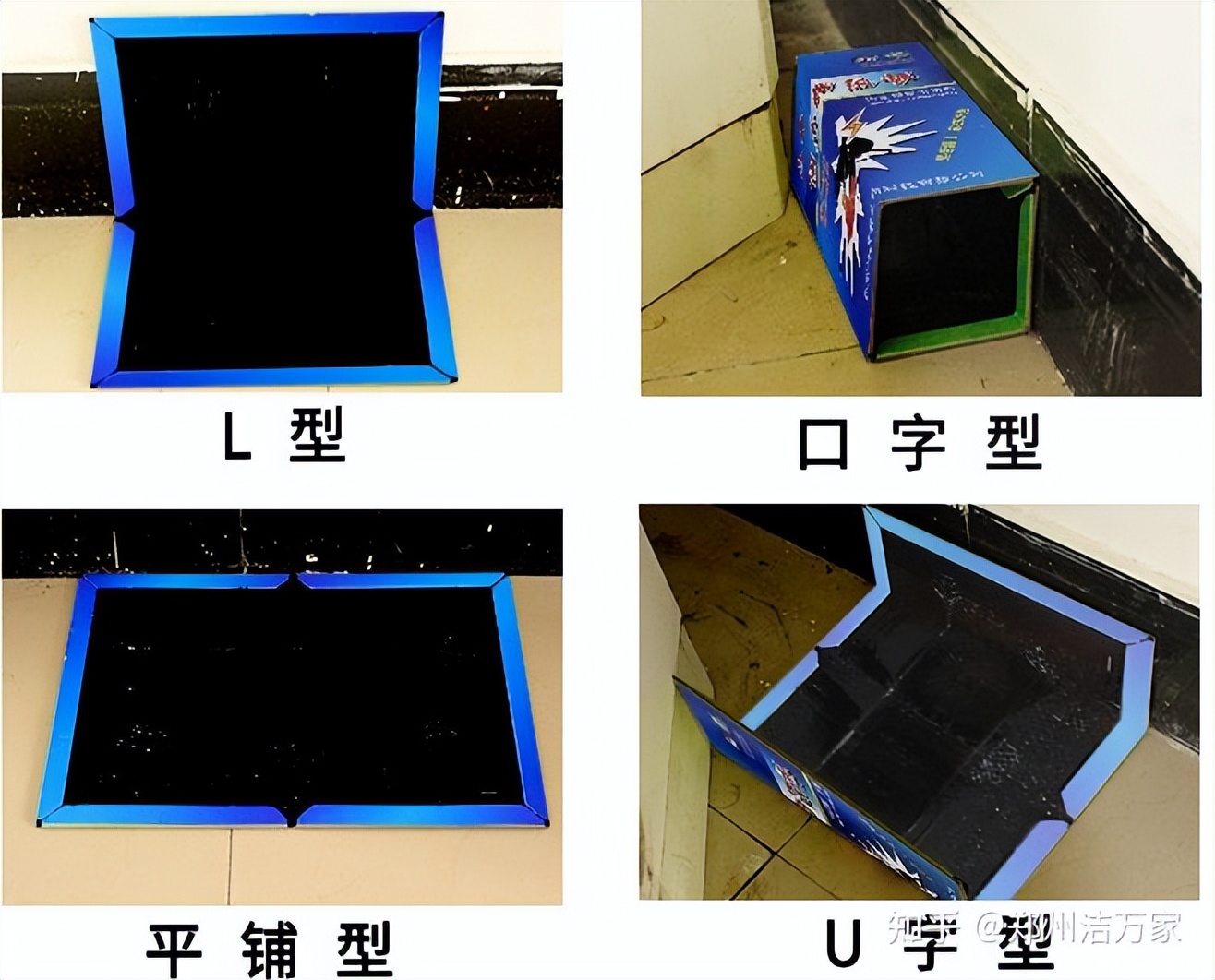 总是抓不到老鼠究竟是什么原因？其实都是因为老鼠的这种习性