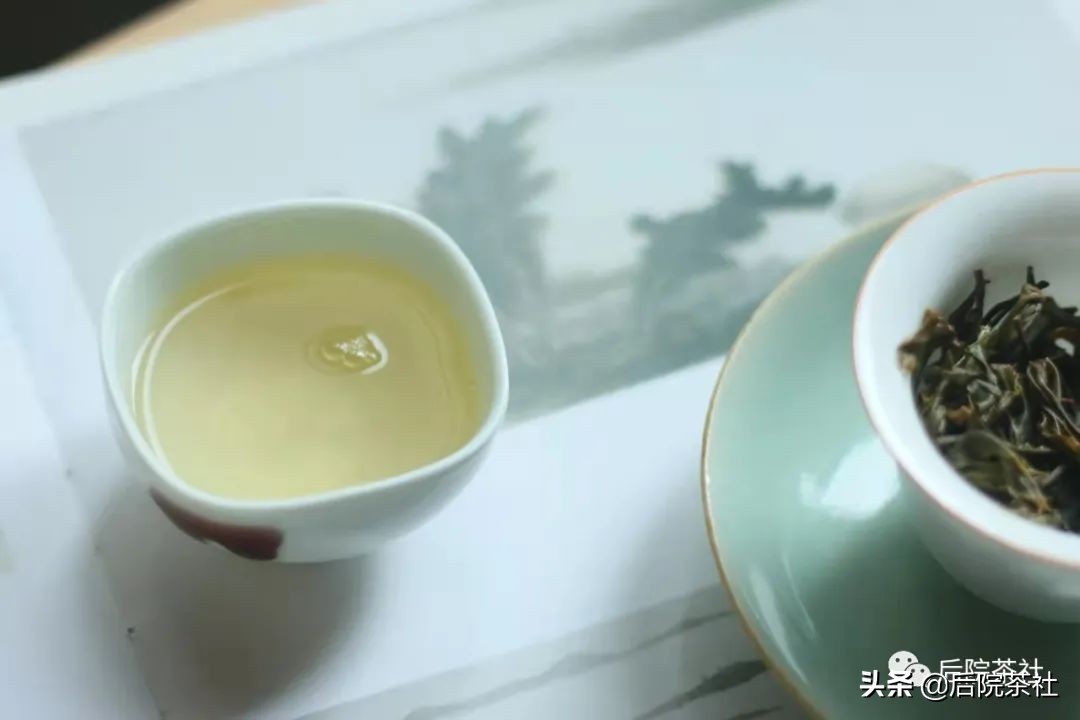 茶叶回甘原理图解大全,深度讲解茶的回甘