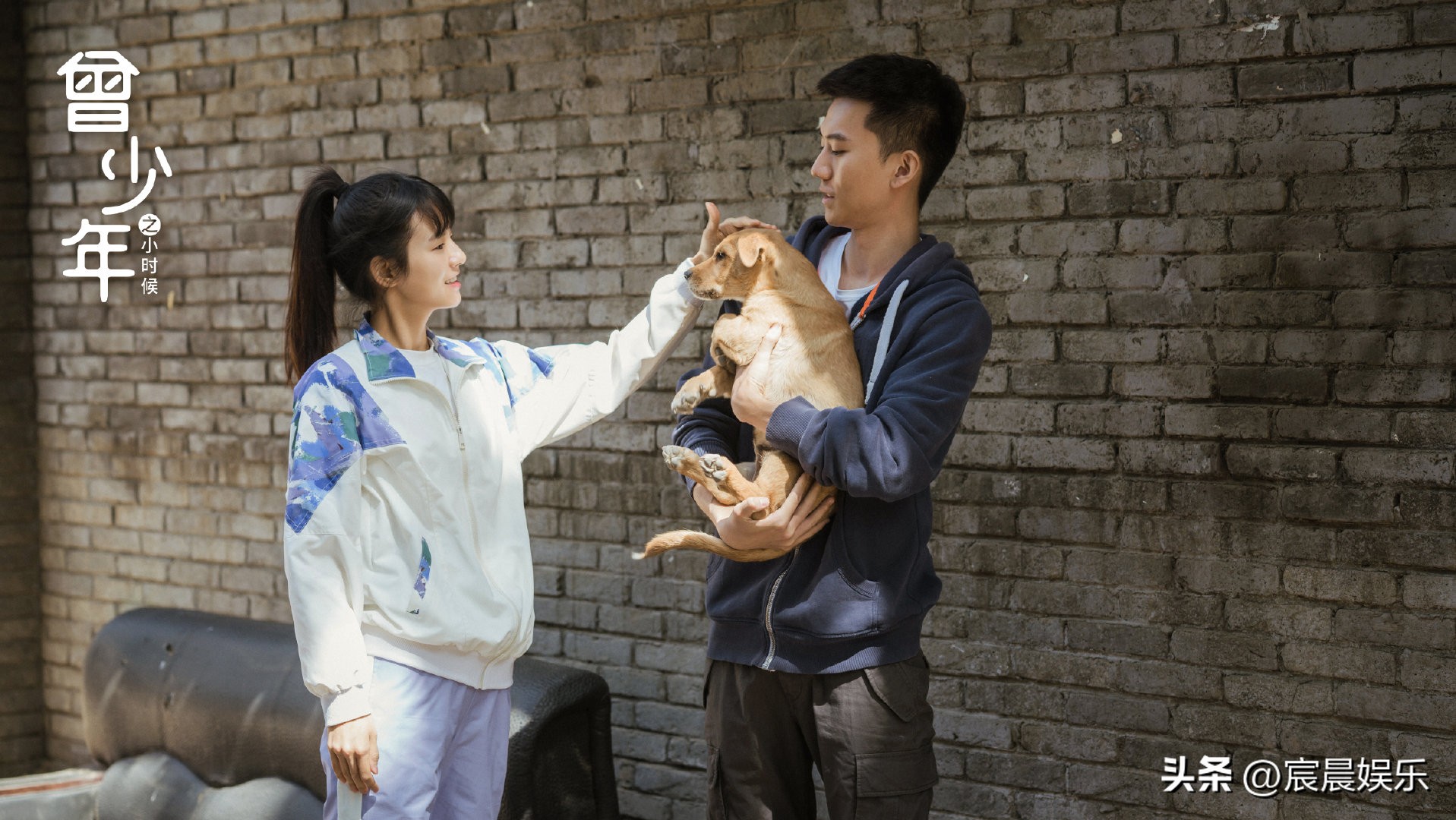 盘点5部全剧无虐的爱情剧,最受期待的4部治愈爱情剧