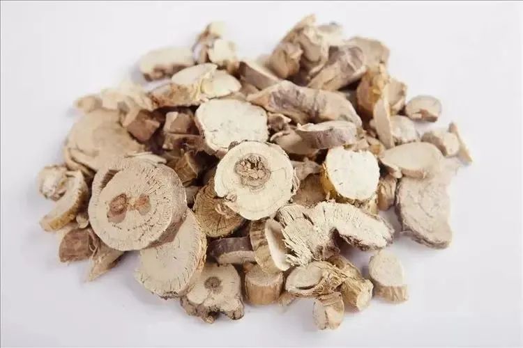 万物有灵人情冷暖自知,万物皆有灵性人生有太多的无奈