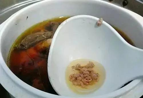 云南红菇好吃吗,云南山野红菇