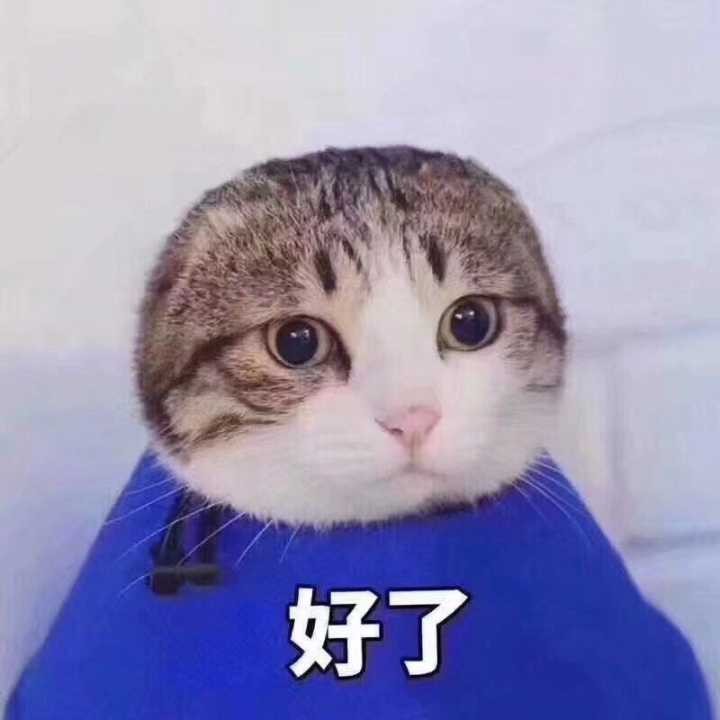 含蓄低调让人不会发现的情侣头像,隐晦又不易察觉的情侣头像