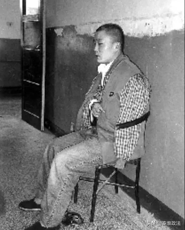 陕西郑卫国涉黑案,长安县郑卫国集团覆灭记小说