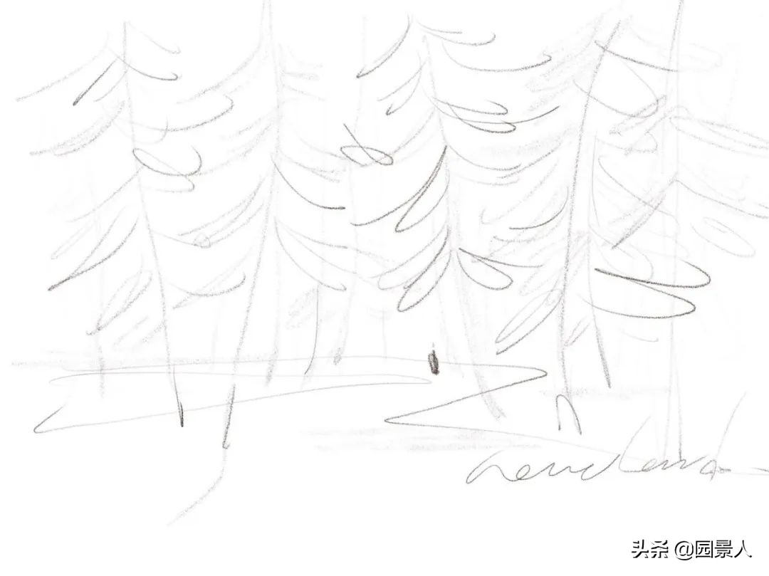 龙湖金茂北岛景观,重庆龙湖金茂北岛位置在哪里