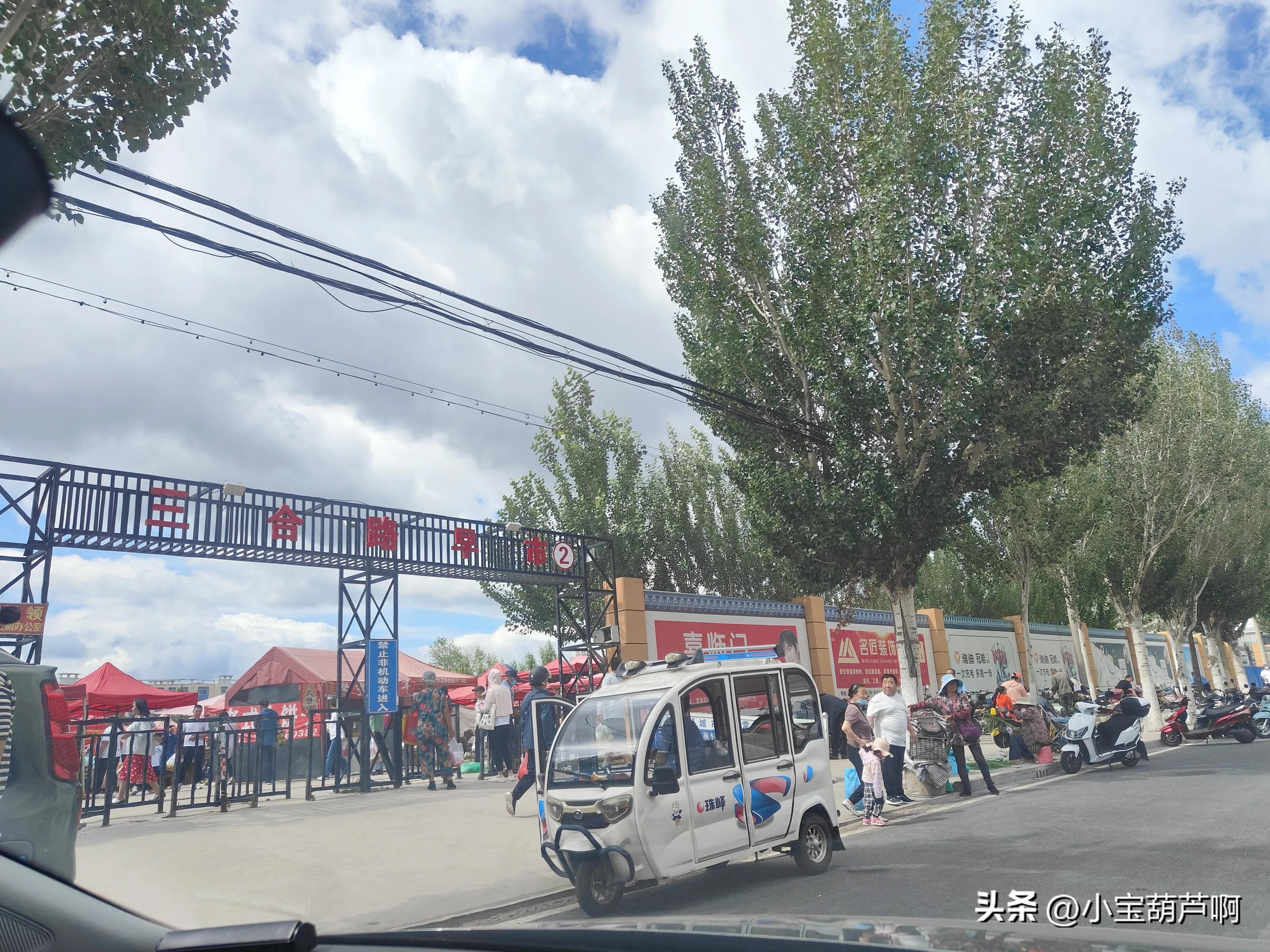 早市蔬菜怎么买最便宜,长春市哪个早市的菜最便宜