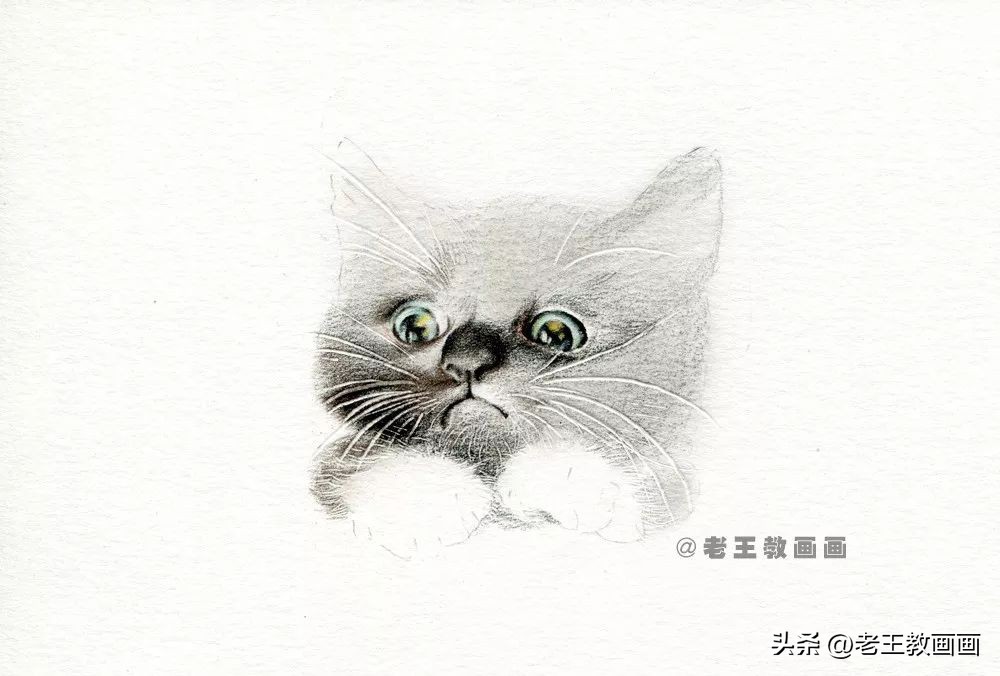 彩铅基础教程，教你画一只小黑猫咪