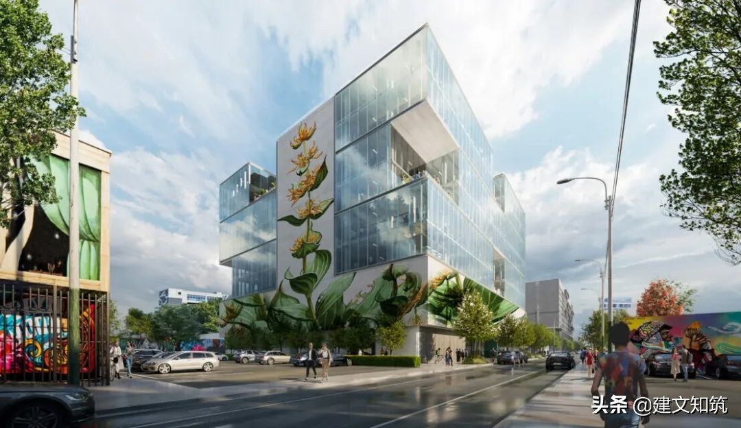 waf2023世锦赛,waf国内排名