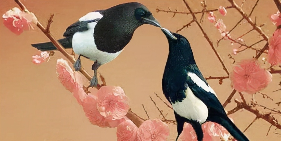 （原创）有一种吉祥叫喜鹊
