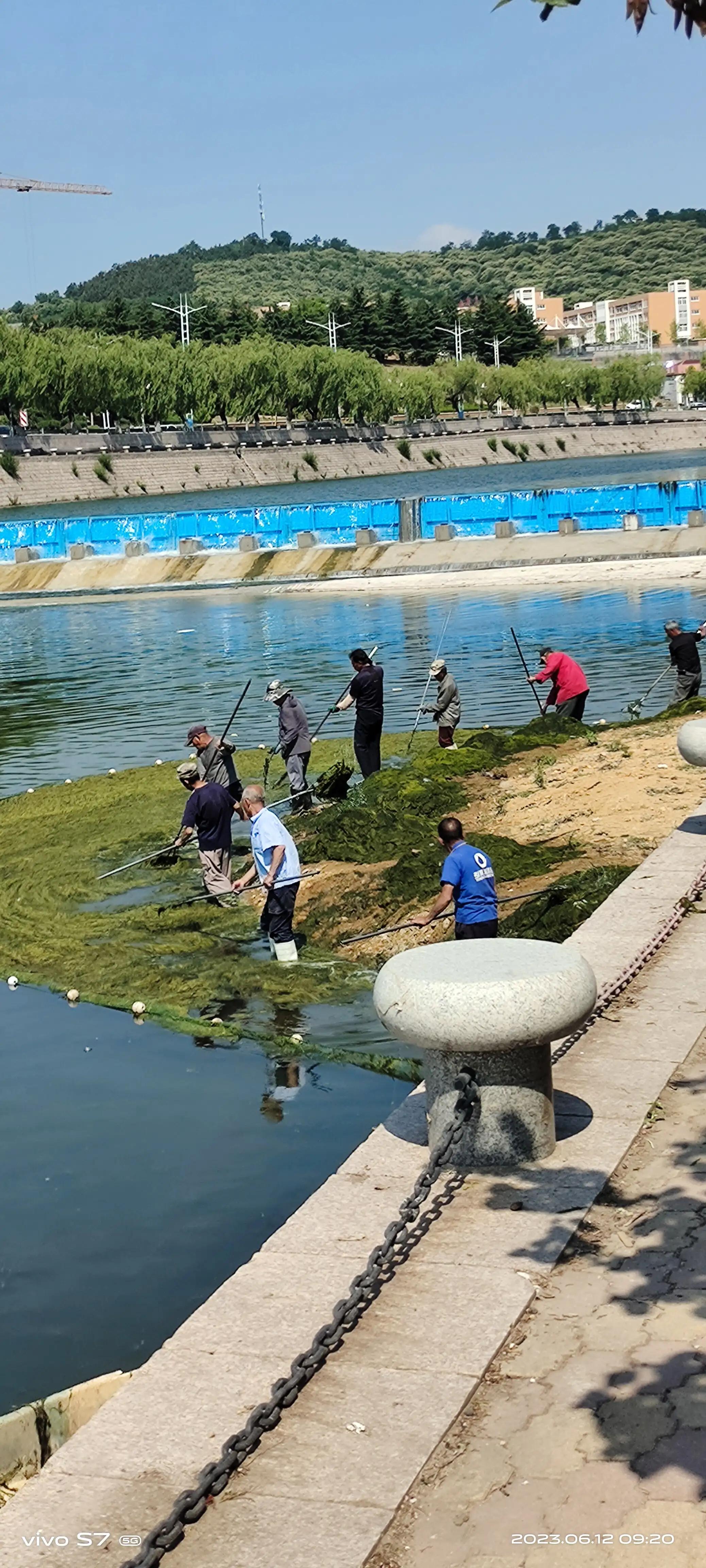 国庆见闻三年级2则,寒假见闻三四则