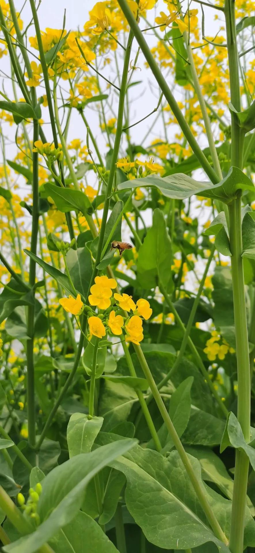 湛蓝的海水海滩风景高清壁纸,高清壁纸8k全屏无水印风景