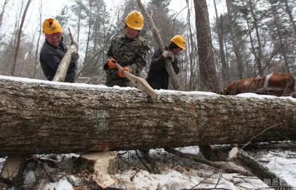 一个克妻的男人吸引什么样的女人,男人克妻怎么办