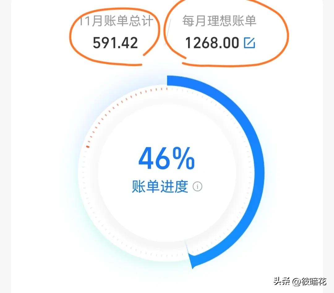 支付宝花呗账单明细怎么打印,支付宝花呗感觉账单不对