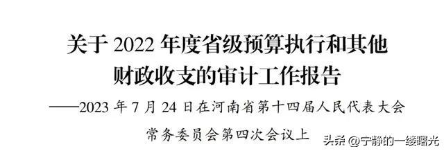 为河南点赞,河南省审计工作