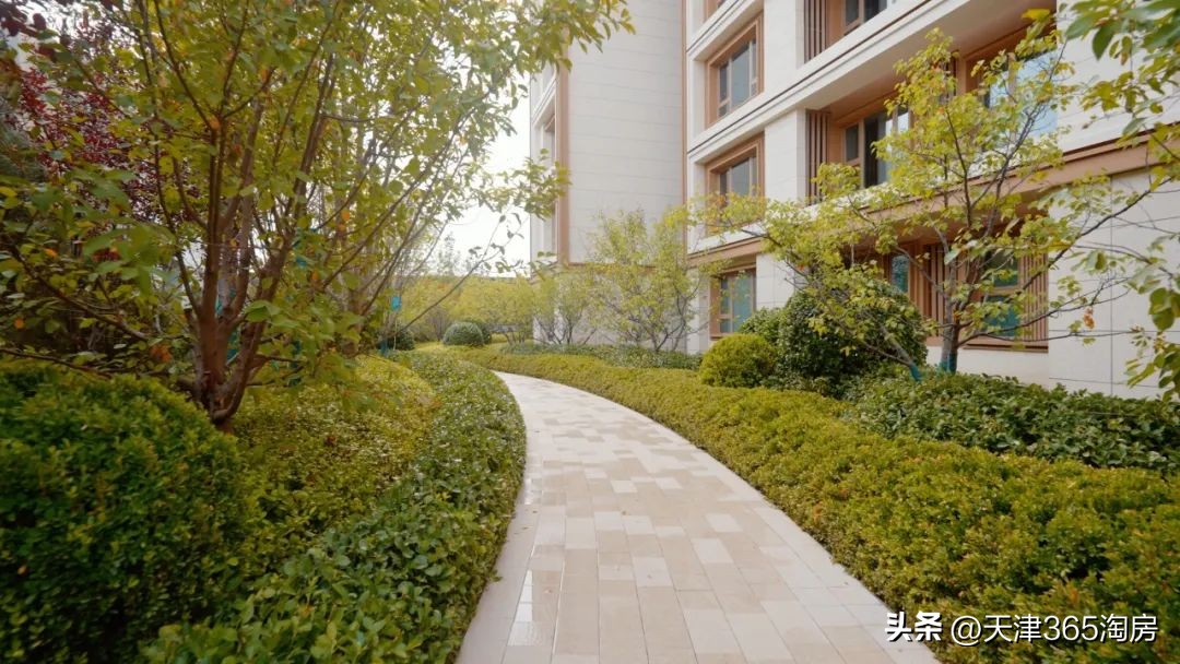 “政策风”来了!天津这个板块,抢先吃到“头啖汤”