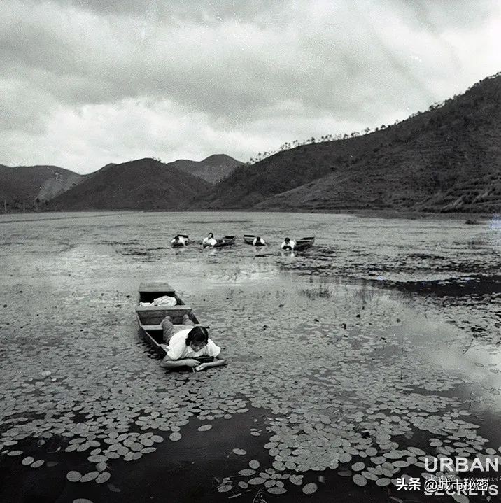 杭州之江板块的历史,杭州之江珊瑚沙家园怎么样