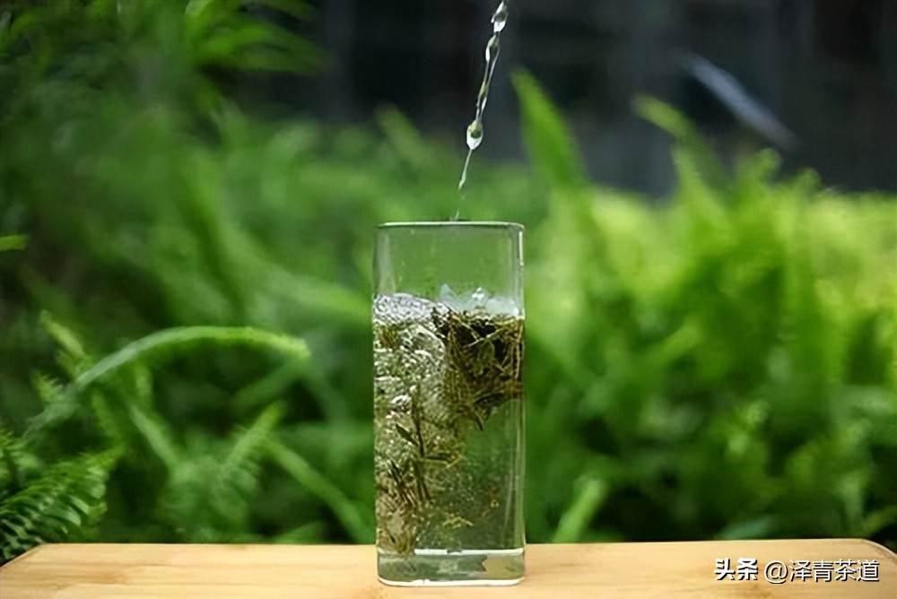 世界十大茶日,国际茶日英文版